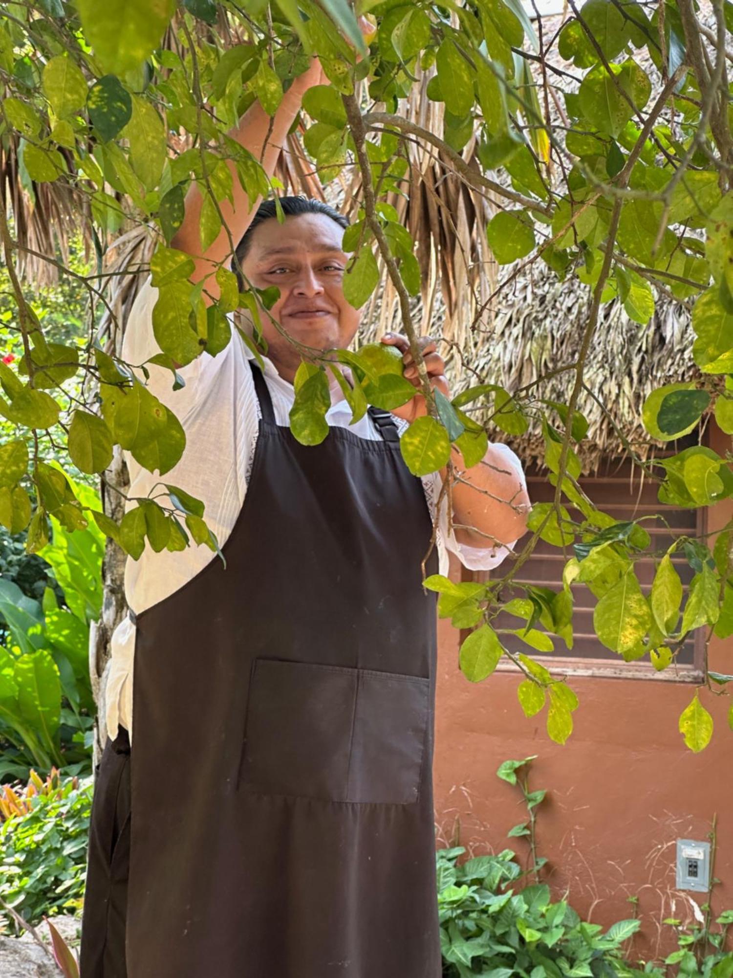 The Pickled Onion B&B And Restaurant Uxmal Santa Elena 외부 사진