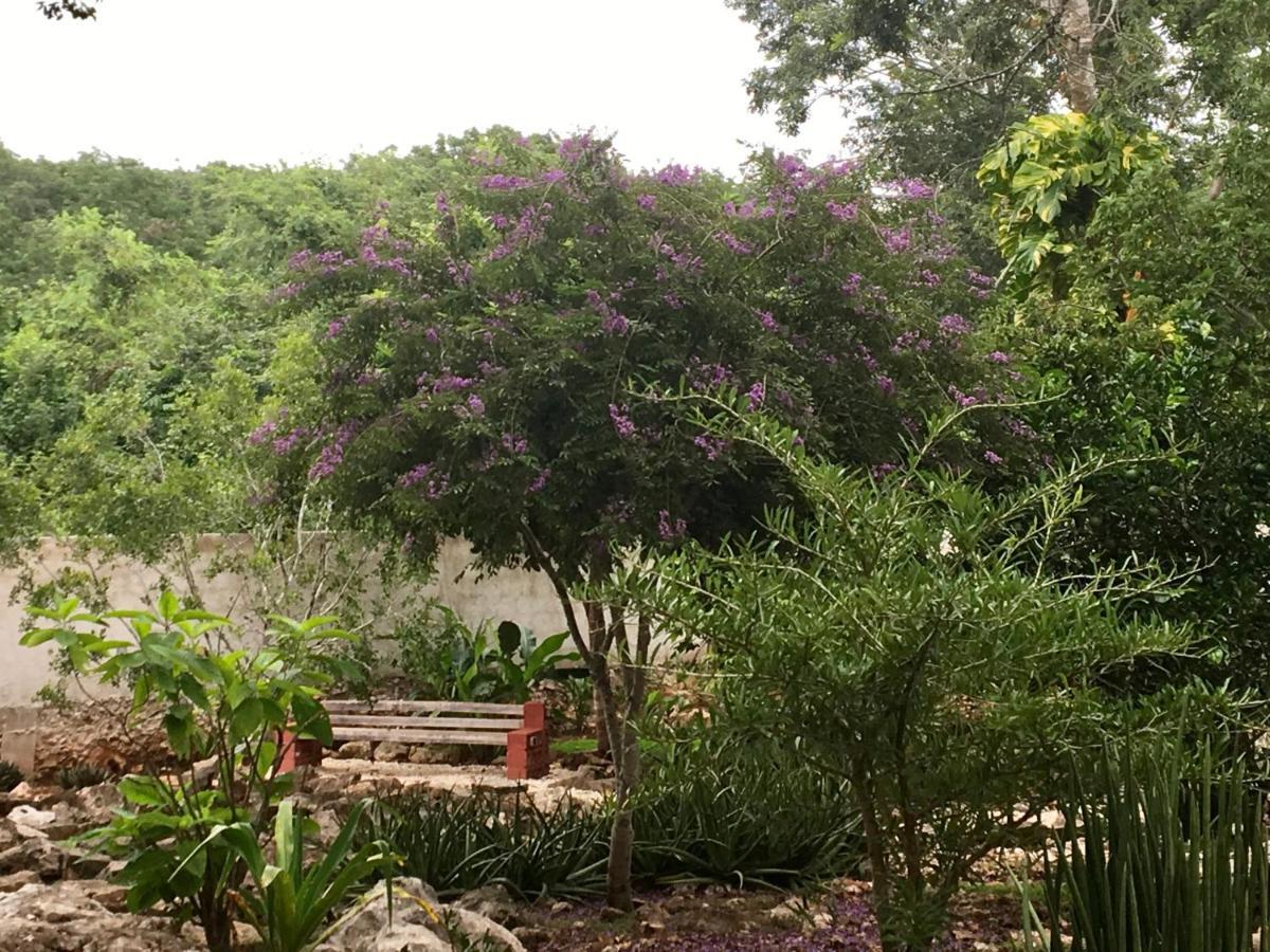 The Pickled Onion B&B And Restaurant Uxmal Santa Elena 외부 사진